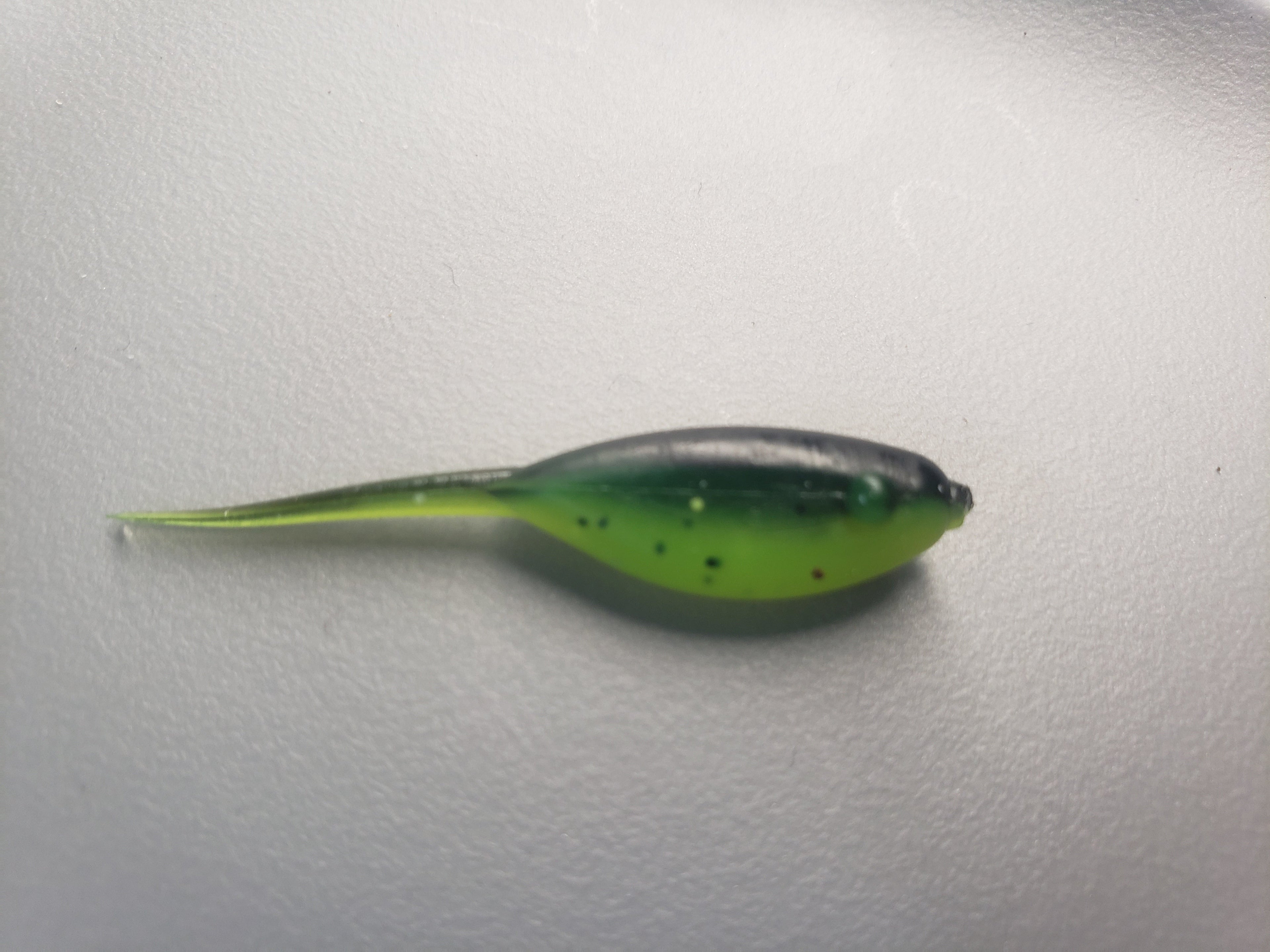 Little Minnow 1.5 Inch