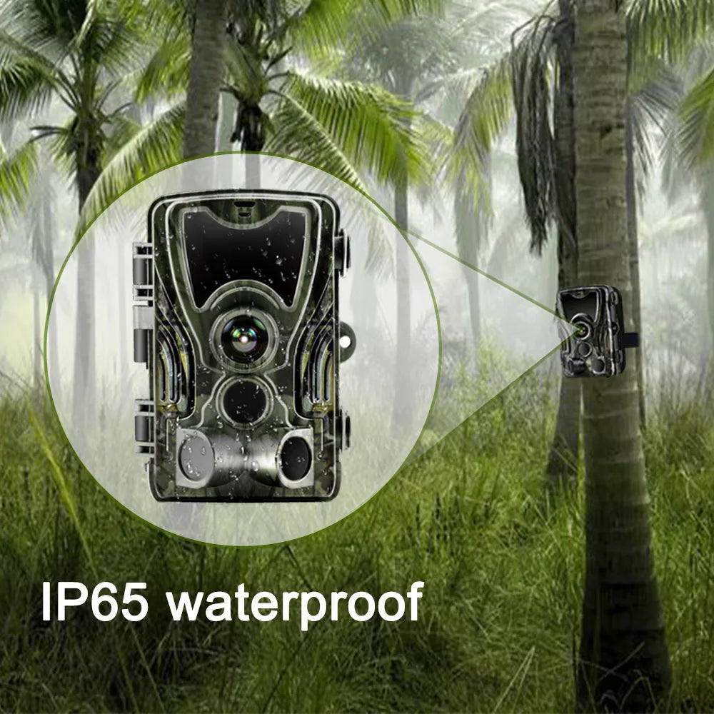Hunting Trail Camera With 5000Mah Lithium Battery 20MP 1080P Trail Camera Photo Traps 0.3s Wild Camera HC801LIA  Hunter