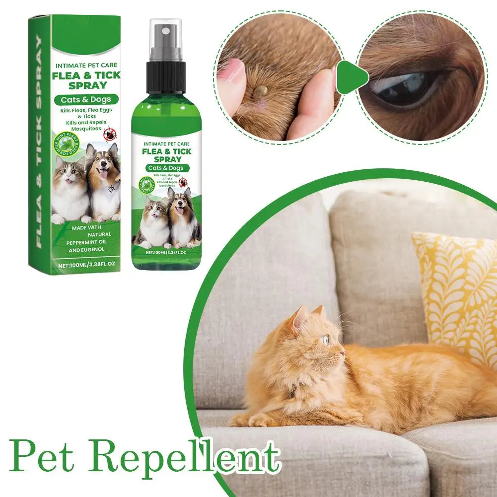 Pet Flea & Tick Spray for Dogs Cats 100ml Flea Killer Itching Relief Insect Repellent Mite Lice Mosquitoes Killer Pet Skin Care