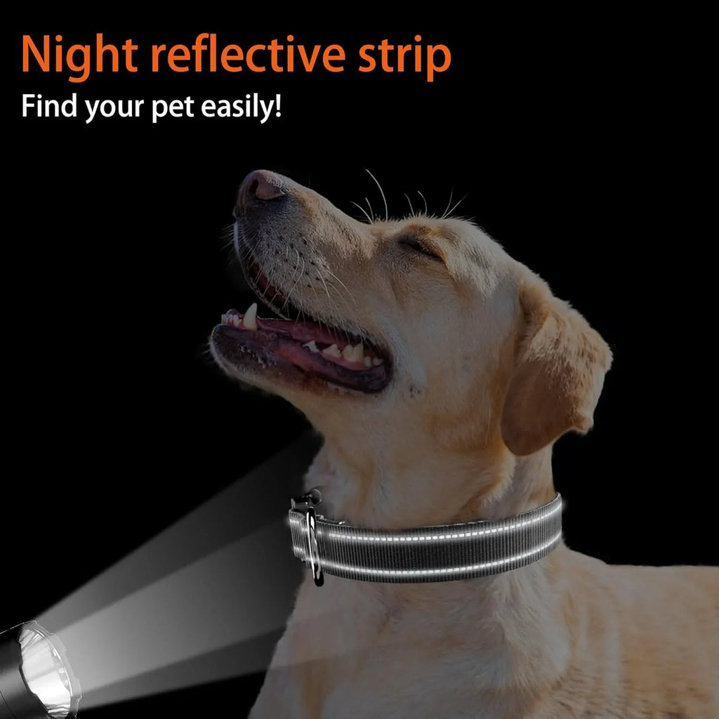 Airtag Dog Collar with Waterproof AirTag Case, Reflective Soft Padded & Safety Air Tag Pet Collar Adjustable for Large Dogs