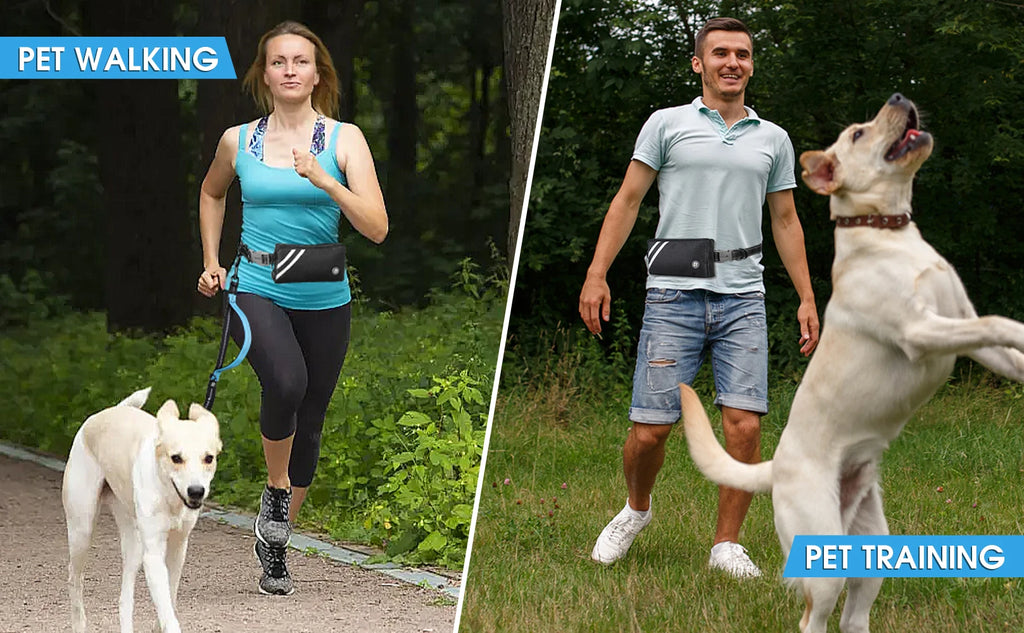 Hands Free Dog Leash with Zipper Pouch, Dual Padded Handles and Durable Bungee for Walking, Jogging and Running Your Dog