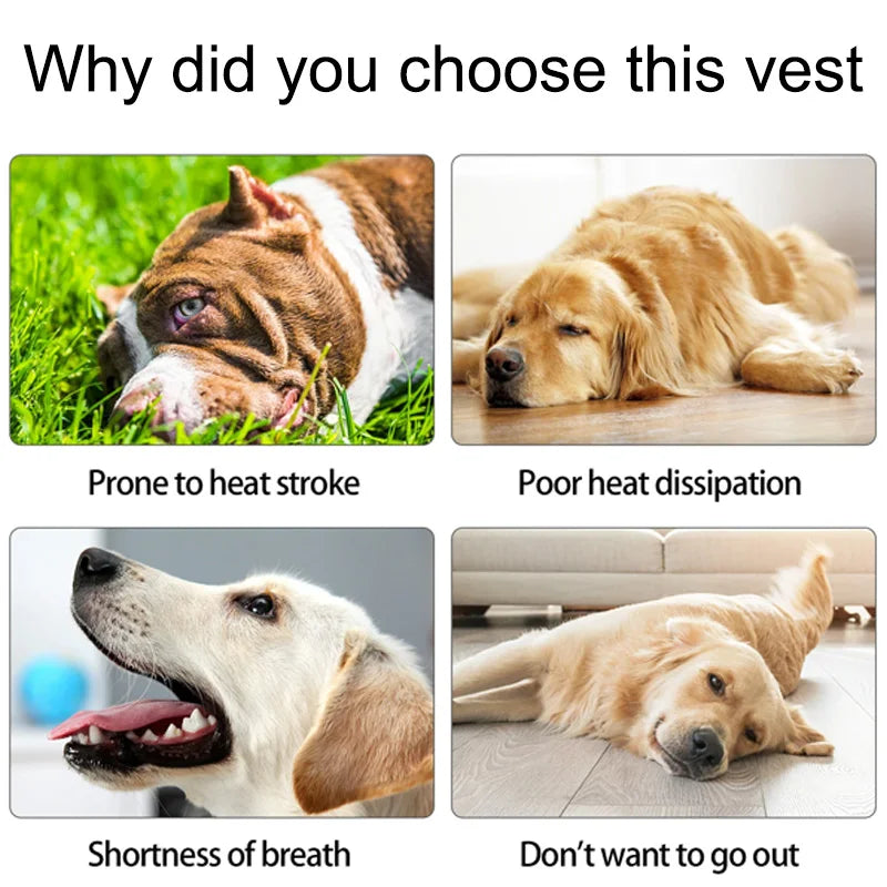 Summer cool cool down Gear for Dogs, Dog Cooling Vest UV Sun Protection - Lightweight,Dog Anxiety Relief Vest During Hot Days
