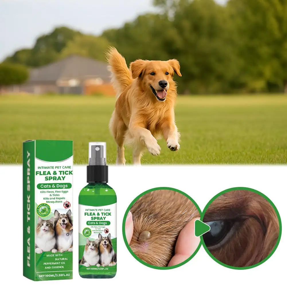 Pet Flea & Tick Spray for Dogs Cats 100ml Flea Killer Itching Relief Insect Repellent Mite Lice Mosquitoes Killer Pet Skin Care