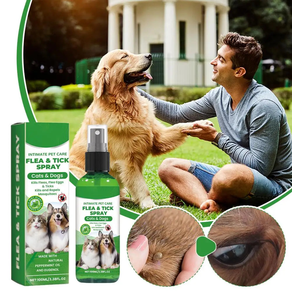 Pet Flea & Tick Spray for Dogs Cats 100ml Flea Killer Itching Relief Insect Repellent Mite Lice Mosquitoes Killer Pet Skin Care